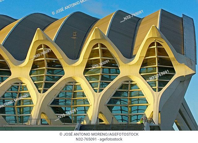 Príncipe Felipe museum of sciences, City of Arts and Sciences by S  Calatrava  Valencia, Comunidad Valenciana, Spain