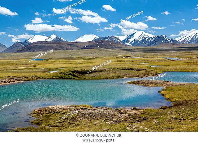 View of Arabel valley. Tien Shan, Kirghizia