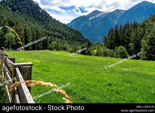 Europe, Austria, Tyrol, Ötztal Alps, Ötztal, view over a fence and a meadow to the mountains in the front Ötztal