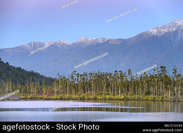 Lagoon of the Quinlin Creek at Gillespies Beach, evening sky, behind subtropical forest and New Zealand Alps, Westland National Park, West Coast, New Zealand