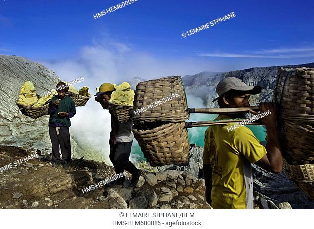 Indonesia, Java, East Java Province, Mining Sulfur by hand in Kawah Ijen volcano 2500m, the carrier Roknat bringing back 70kg of sufur from the heart of the...