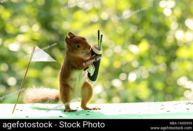 red squirrels are holding a golf bag with clubs