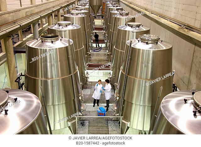TECNALIA Researchers by sampling wine from Bodegas Baigorri fermentation tanks, Wine Cellar, Samaniego, Araba, Rioja Alavesa, Basque Country, Spain