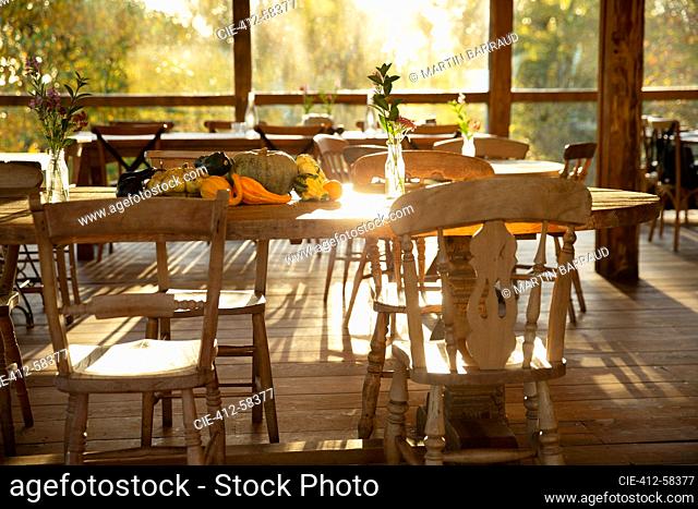 Autumn pumpkins and gourds on table in sunny rustic restaurant