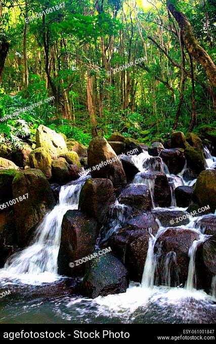 Kleiner Wasserfall im Urwald in der Nähe des Wailua River auf Kauai, Hawaii, USA. Small waterfall in the jungle near the Wailua River on Kauai, Hawaii, USA