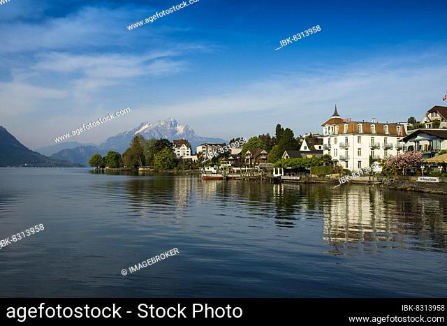 Hotels and houses on the lake, Weggis, Lake Lucerne, Canton Lucerne, Switzerland, Europe