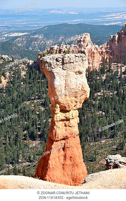 Ponderosa Point in Bryce Canyon National Park in Utah, USA