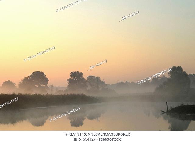 Morning mist on the Elbe Meadows near Dessau, Middle Elbe Biosphere Reserve, Saxony Anhalt, Germany, Europe