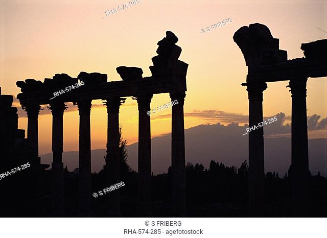 Columns in public building, probably the Court of Justice, Baalbek, UNESCO World Heritage Site, Lebanon, Middle East