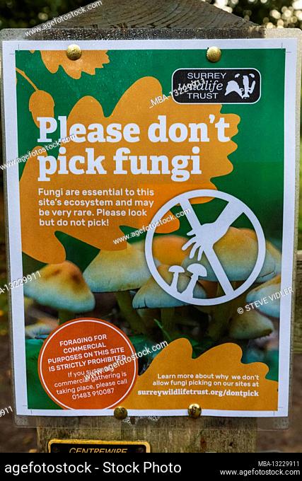 England, Surrey, Cobham, Chatley Heath, Please don't pick Fungi Sign