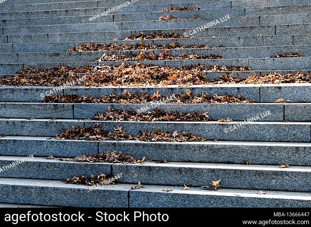 Berlin, Tiergarten, Reichstag building, stairs with leaves