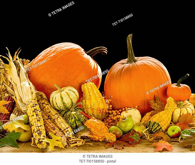Still life with pumpkins, apples and corn