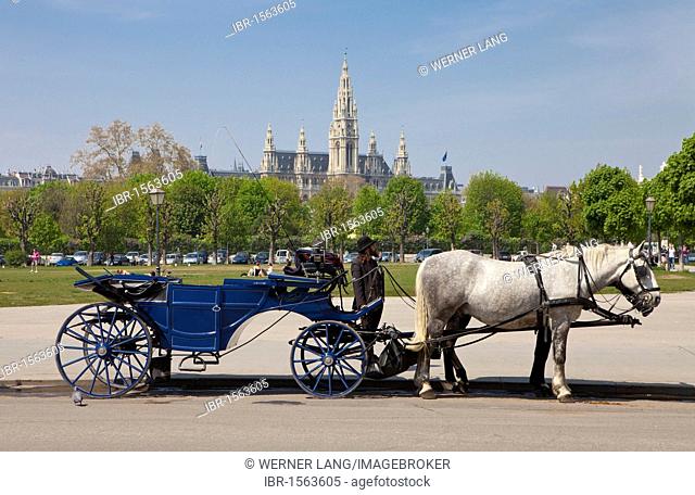 Fiaker carriage, int he back the city hall, Heldenplatz Heroes' Square, Vienna, Austria, Europe