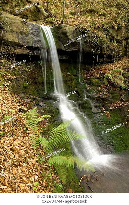 Waterfall, river Urbeltza. Irati forest, Navarra, Spain