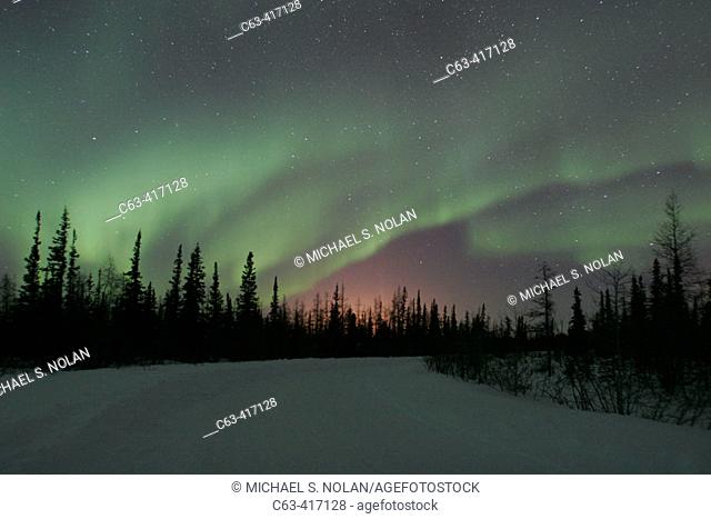 The Northern Lights (Aurora Borealis) in late winter. Churchill, Manitoba, Canada