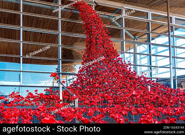 CARDIFF/UK - AUGUST 27 : Poppies Pouring out of the Welsh Assembly Building in Cardiff on August 27, 2017