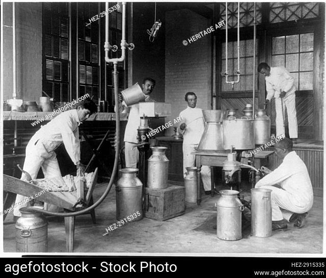 Five men making butter in a class at Hampton Institute, Hampton, Va., 1899 or 1900. Creator: Frances Benjamin Johnston