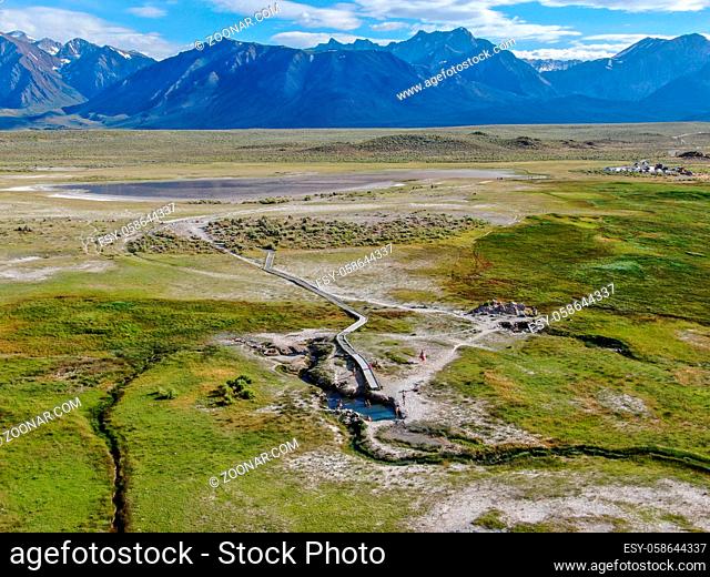 Aerial view of herd of cows in green meadow with mountain on the background. Cows cattle grazing on a mountain pasture next the Lake Crowley, Eastern Sierra