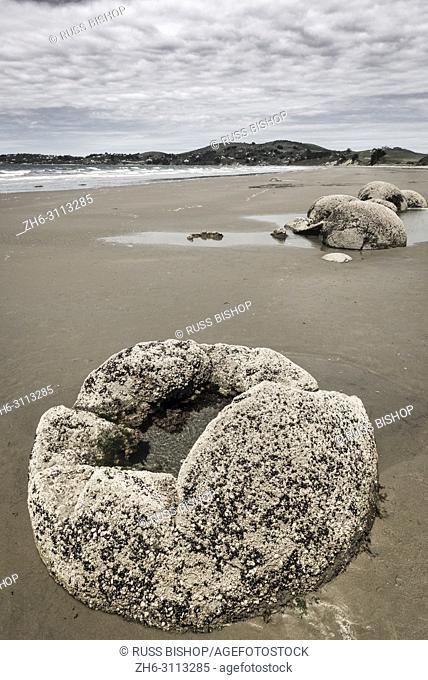 Moeraki boulders, Moeraki, Otago, South Island, New Zealand