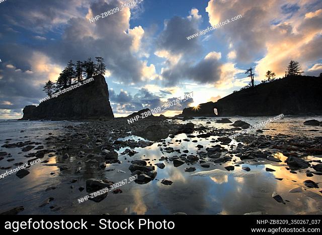 Second Beach with sunset clouds and reflection at low tide. Olympic National Park, Washington