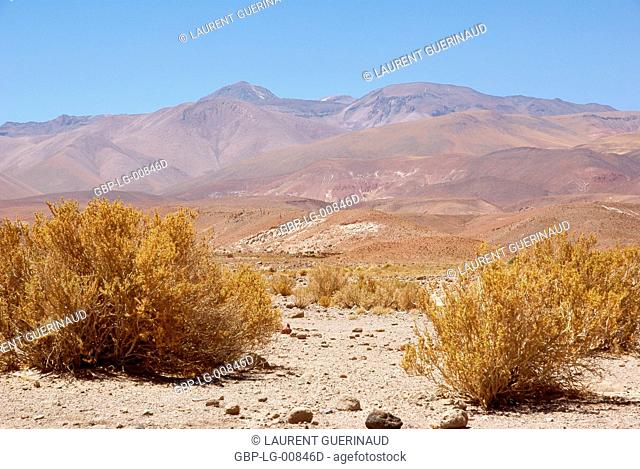 Atacama Desert, Region of Antofagasta, Santiago, Chile