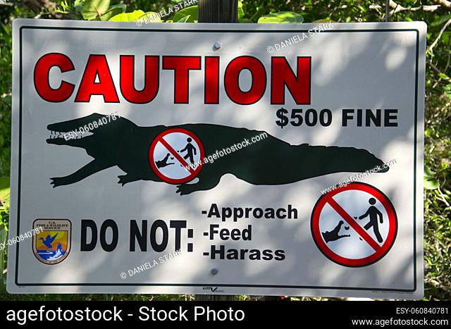 Warning sign - danger crocodile