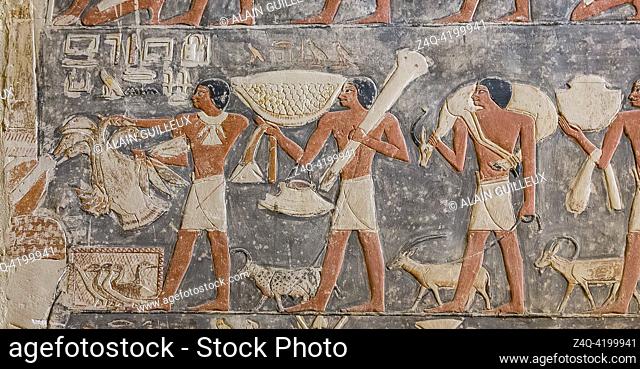Egypt, Saqqara, tomb of Mehu, offering bringers