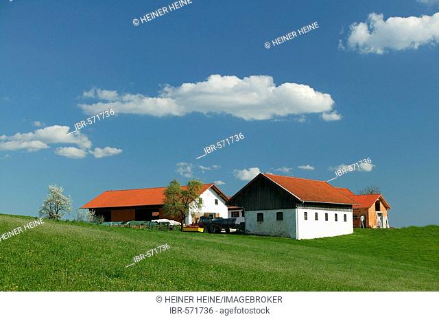Farm in the alpine foothills