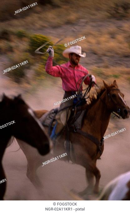 Cowboy Lassoing Horse