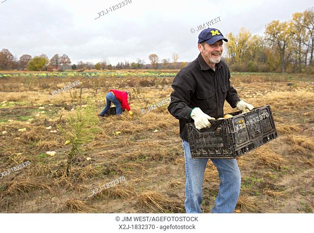 Ray, Michigan - Man helps as volunteers collect leftover squash from a farmer's field for distribution to those in need  The produce is distributed to soup...