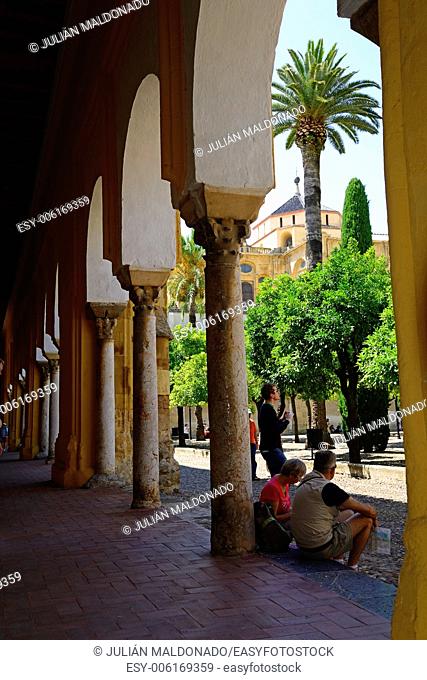 Patio de los Naranjos in the Catedral de Córdoba, Andalucía, Spain