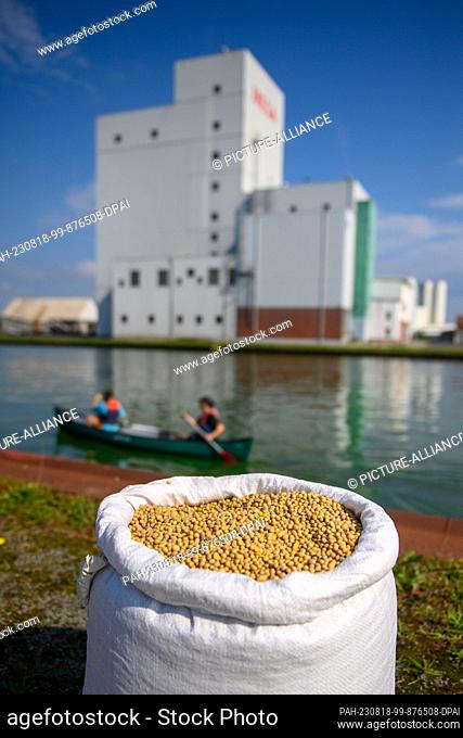 18 August 2023, Saxony-Anhalt, Haldensleben: Activists from ""Aktion Agrar"" paddle past a bag of soybeans in the Haldensleben inland port