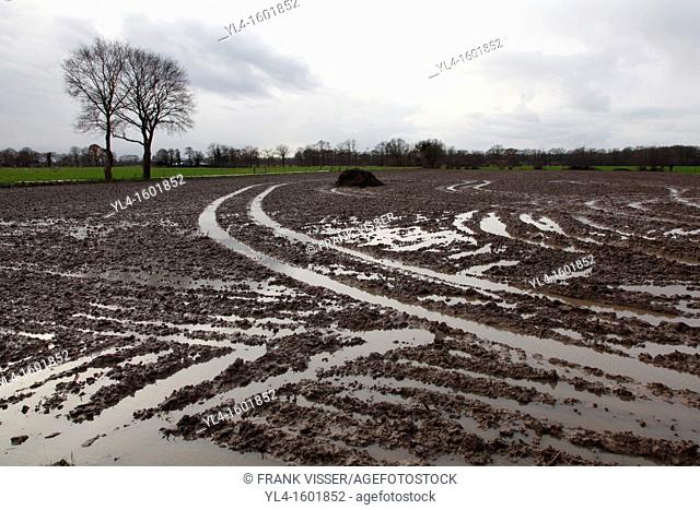 Farm landscape after heavy rain, The Netherlands