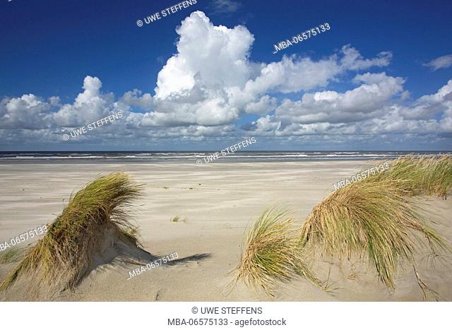 Cumulus clouds above the north beach of the island Langeoog