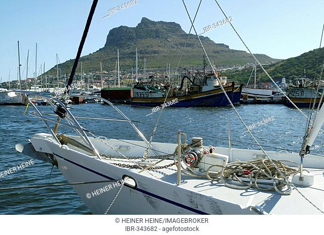 Fishing port, Hout Bay, Cape Town, West Cape, South Africa
