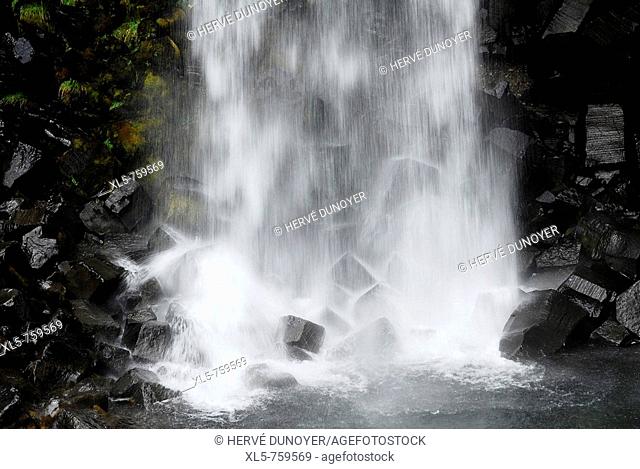 Detail of the famous waterfall Svartifoss in the nature reserve Skaftafell with his basaltic columns, Iceland