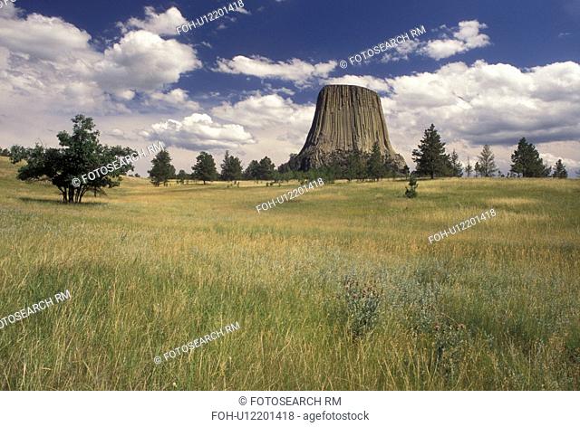 Devils Tower National Monument, WY, Wyoming, Scenic view of Devils Tower at Devils Tower Nat'l Monument in Wyoming