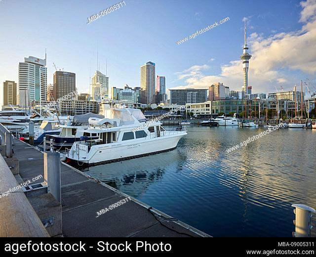 Winyard Crossing, Viaduct Basin, Sky Tower, Auckland, North Island, New Zealand, Oceania