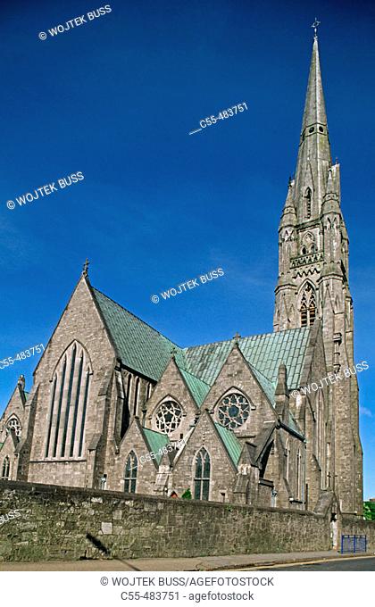 Irish town. St. John's Cathedral. Co. Limerick. Ireland