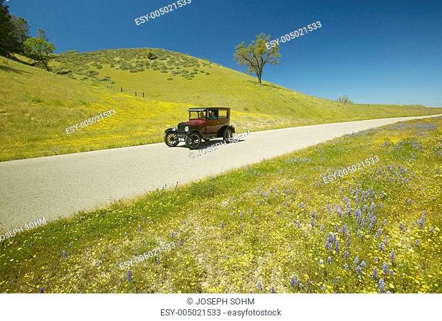 A maroon Model T driving down a scenic road surrounded by spring flowers off of Route 58, Shell Road, CA