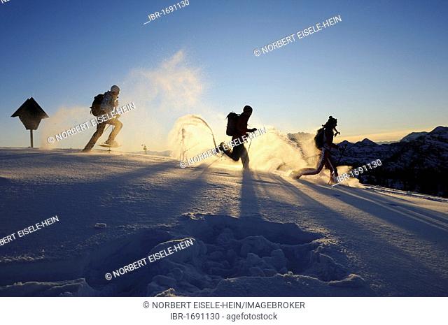 Snowshoers on a snowshoe hiking tour, Eggenalm alp, Tyrol, Tirol, Austria, Europe