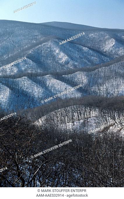 Sikhote-Alin Reserve, Siberia. Tiger Habitat, in Winter, Far East, Russia