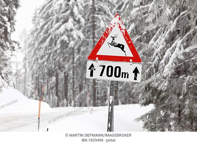 Road sign, Caution deer crossing, Oetscher-Tormaeuer Nature Park, Mostviertel, Must Quarter, Lower Austria, Austria, Europe