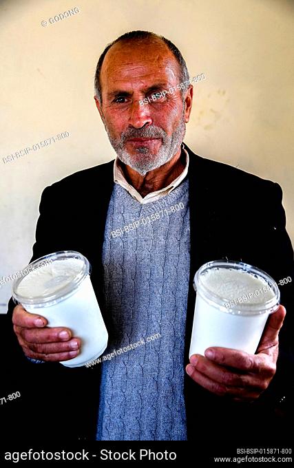 Agricultural cooperative in Beit Furik, West Bank, Palestine, co-financed by a loan from ACAD Finance.Sheep. Manager holding pots of processed ewes' milk