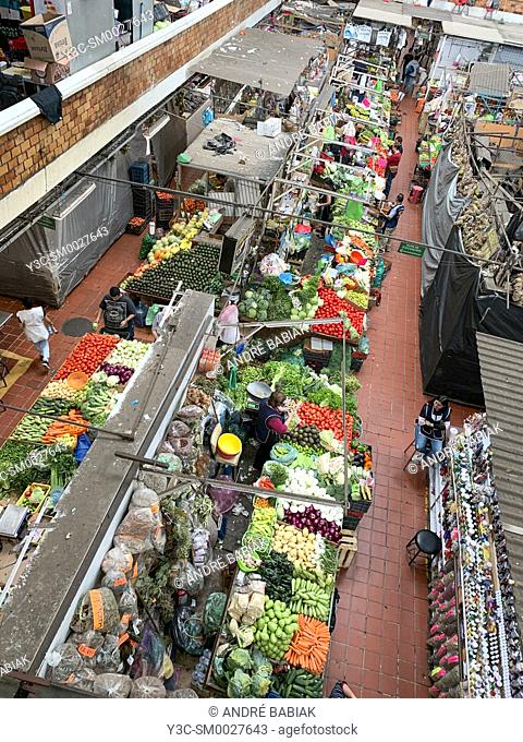 Produce section in Mercado Libertad - San Juan de Dios, a huge indoor market with close to 3000 vendor booths in the heart of Guadalajara, Jalisco, Mexico