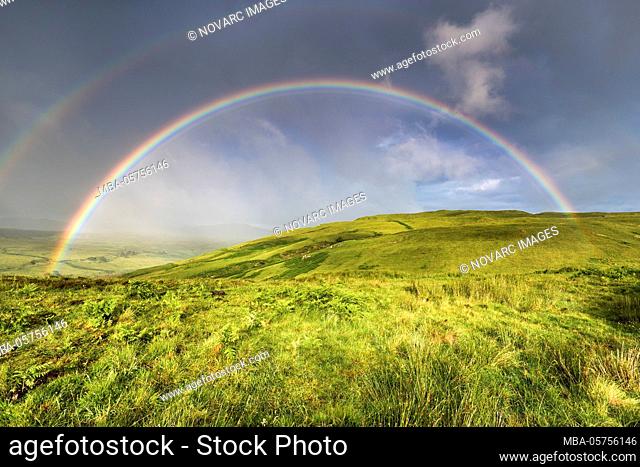 Rainbow, Scotland, England, United Kingdom, Europe