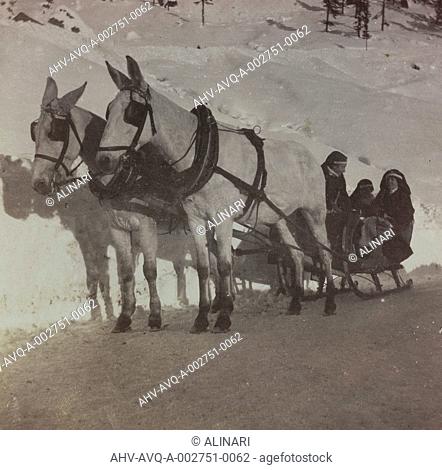 Album Pictures of War II: Red Cross on a horse-drawn sleigh, shot 1917-1918