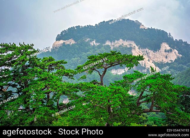 View from the West Peak summit of the inspiring, sacred and majestic Hua shan mountain, famous tourist attraction, Shaanxi province, China