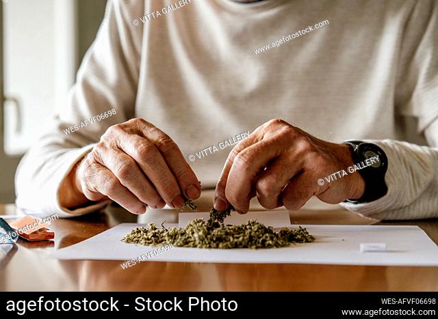 Midsection of retired elderly man preparing for rolling weed on paper at home