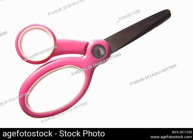 Children scissors, rose, stationery, everyday objects